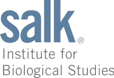 The Salk Institute
